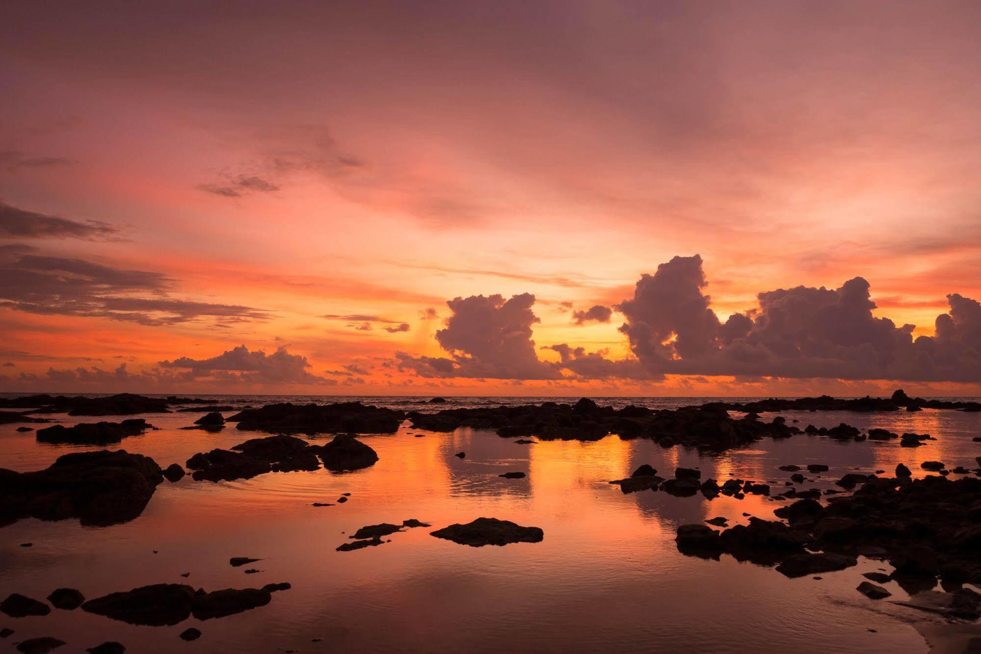 Monkey Dive Hostel Khaolak Khao Lak Ngoại thất bức ảnh